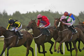 马术,单座二轮马车,赛马,军人/警察,跑马场,马瑟堡站比赛_1291