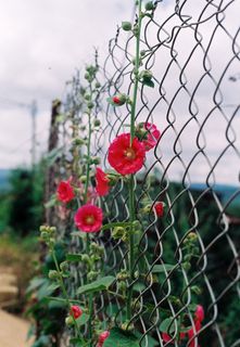 今天是13号星期五！哈！ ;-)