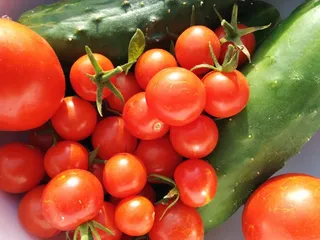 樱桃西红柿,圣女果,西红柿,观赏茄,樱桃小番茄,西红柿和黄瓜