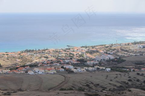 皮克多卡斯特洛