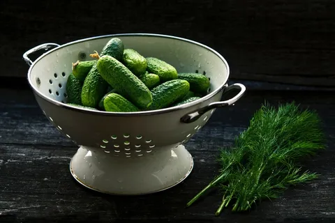 黄瓜,黄瓜,食品,小黄瓜,小黄瓜,厨房,腌制,腌制,筛 黄瓜,黄瓜,食品,小黄瓜,小黄瓜,厨房,腌制,腌制,筛
