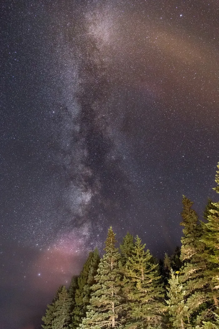 天文学，星座，宇宙，森林，银河系，银河，移动壁纸，星云，夜，天空，空间，星星，树木