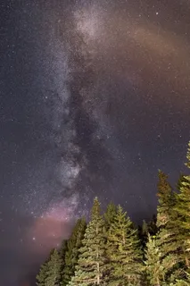 天文学,星座,宇宙,森林,银河系,银河,移动壁纸,星云,夜,天空,空间,星星,树木 天文学,星座,宇宙,森林,银河系,银河,移动壁纸,星云,夜,天空,空间,星星,树木