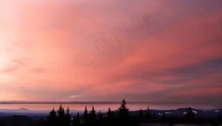 云团，黎明，黄昏，环境，森林，地平线，景观，户外，柔和的粉红色，风景，天空，阳光，日出，日落，树木，温暖