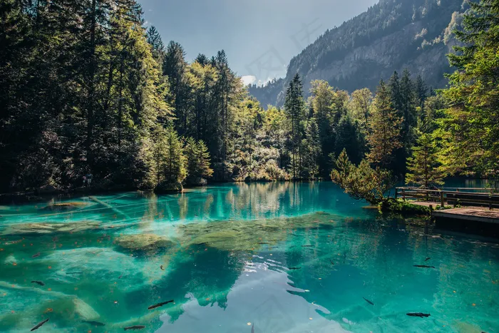 阿尔卑斯山，清澈的水，湖，山，反射，天空，透明，树木