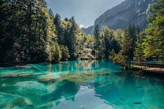 阿尔卑斯山，清澈的水，湖，山，反射，天空，透明，树木