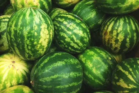 食品,水果,水果,甜瓜,甜瓜,西瓜,西瓜 食品,水果,水果,甜瓜,甜瓜,西瓜,西瓜