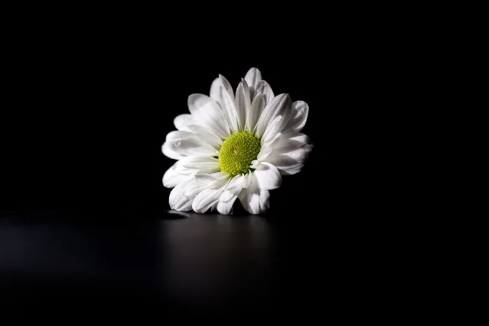 花，花
