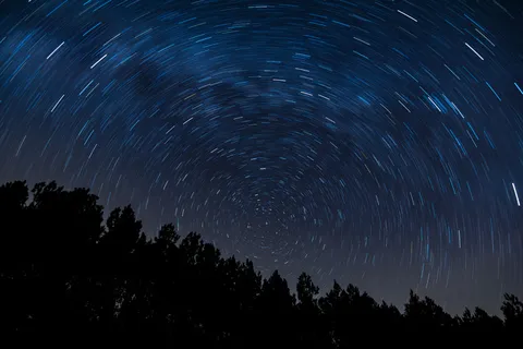 天文学,宇宙,黑暗,森林,银河系,银河系,运动,运动,星云,夜,剪影,天空,旋转,星迹,星星,树木 天文学,宇宙,黑暗,森林,银河系,银河系,运动,运动,星云,夜,剪影,天空,旋转,星迹,星星,树木