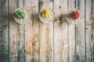 花卉，绿色，成长，首页，植物，墙纸，木材