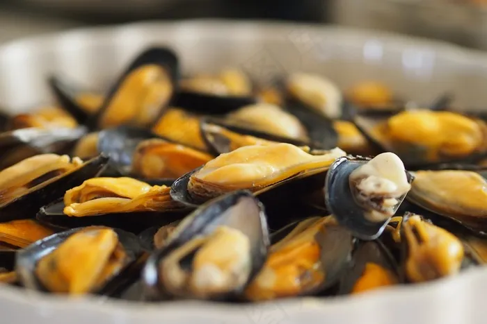 食品，海鲜，贝壳