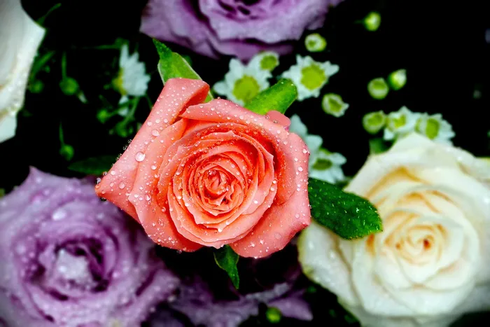 花，花