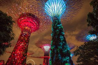 海湾金沙，花园，灯，夜，新加坡
