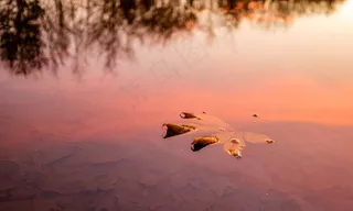 秋季，Cc0，色彩缤纷，高分辨率，反射，股票照片，象征，水