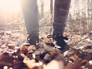 秋天，秋天，森林，叶子