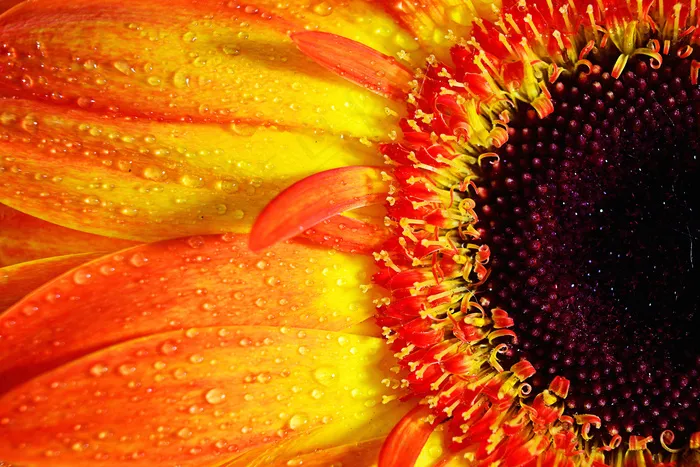 花，花