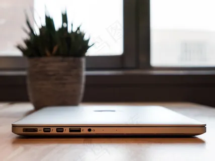 计算机，桌面，自由职业者，笔记本电脑，Macbook，办公室，植物，启动，窗口，工作场所