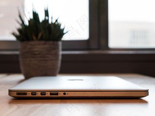 计算机，桌面，自由职业者，笔记本电脑，Macbook，办公室，植物，启动，窗口，工作场所