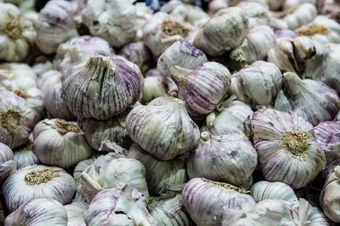 大蒜，大蒜，药草，草药，成分