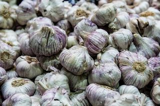 大蒜，大蒜，药草，草药，成分