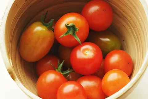 食品,西红柿,西红柿 食品,西红柿,西红柿