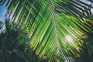 古巴，假日，夏季，假期