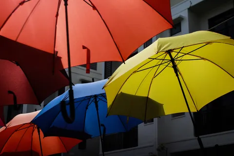 环境,雨水,天气 环境,雨水,天气