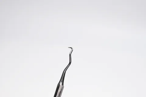 图画,花卉,黑腹蛇鹈,红蛇鹈,天空,牙医