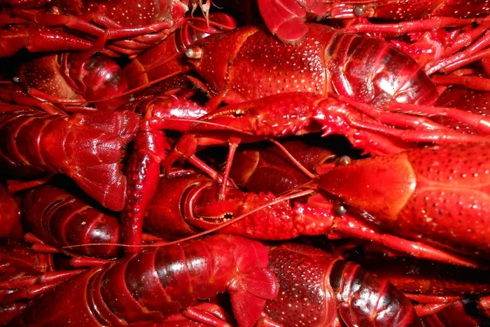 小龙虾，食品，海鲜