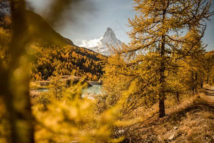 阿尔卑斯山，清澈的水，云，湖，马特宏峰，山，反射，天空，透明，树木