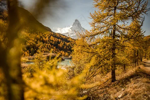 阿尔卑斯山，清澈的水，云，湖，马特宏峰，山，反射，天空，透明，树木