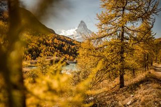 阿尔卑斯山，清澈的水，云，湖，马特宏峰，山，反射，天空，透明，树木