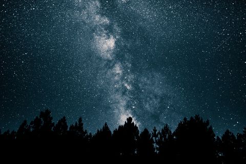 森林，高清壁纸，夜，天空，空间，星星