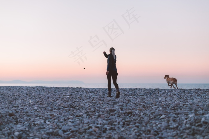 球，平静，海岸，狗，黄昏，健康，海洋，柔和，宠物，俏皮，漂亮，岩石，沙，肖尔，剪影，天空，日落，水，波，女人