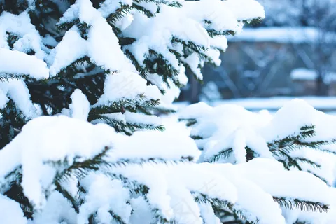 圣诞节,雪,冬天,圣诞节 圣诞节,雪,冬天,圣诞节
