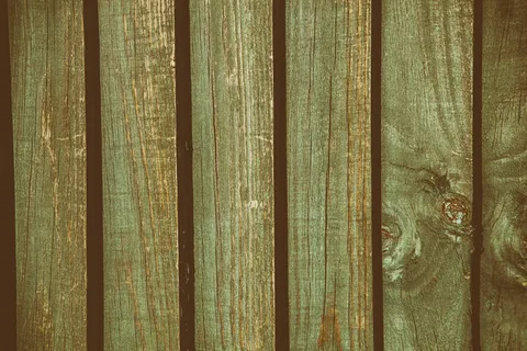 地毯,窗帘,木纹,木纹素材,材质贴图,木 地毯,窗帘,木纹,木纹素材,材质贴图,木