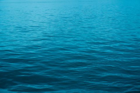 摘要，背景，背景，海洋