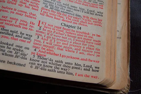 文字图片,书本,书法,倡议书,瓶子,圣经