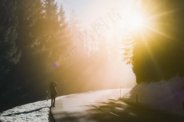 冷，森林，之一，户外，步行，木