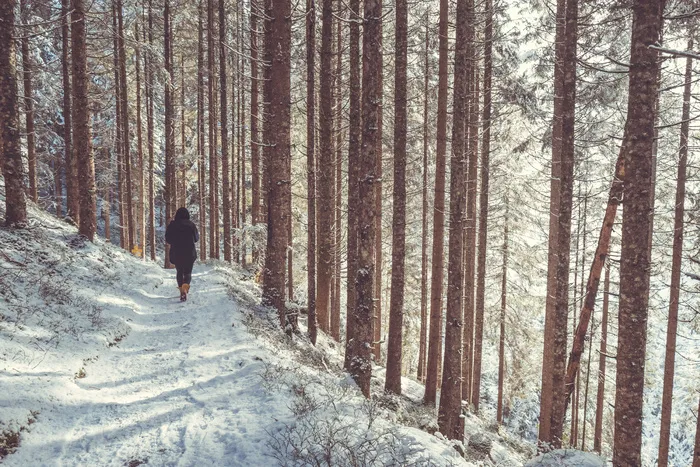 雪，冬天，女人