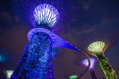 城市，灯，新加坡滨海湾花园，晚上，天空，摩天大楼