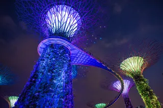 城市，灯，新加坡滨海湾花园，晚上，天空，摩天大楼