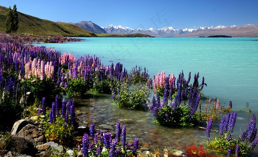 浅绿色，海岸，异国情调，鲜花，地平线，岛，山，海洋，植物，海，天空，热带，水