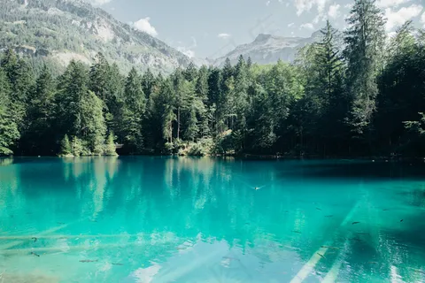 阿尔卑斯山,清澈的水,湖,山,反射,天空,透明,树木 阿尔卑斯山,清澈的水,湖,山,反射,天空,透明,树木