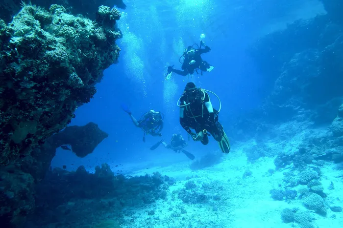 潜水员，潜水员，潜水，海洋，海洋