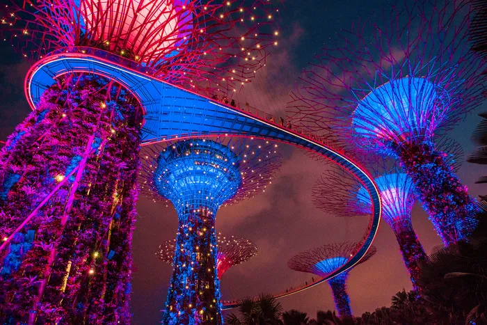 城市，灯，新加坡滨海湾花园，晚上，天空，摩天大楼
