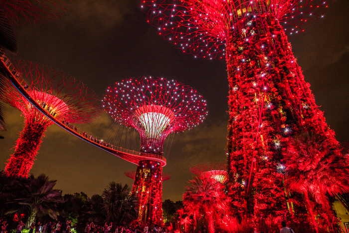 海湾金沙，花园，灯，夜，新加坡