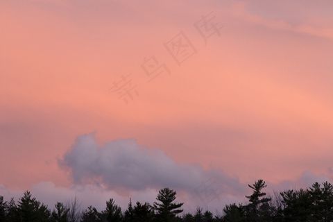 云团，黎明，黄昏，环境，森林，地平线，户外，粉彩，粉红色，风景，天空，阳光，日出，日落，树木，温暖