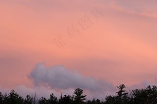 云团，黎明，黄昏，环境，森林，地平线，户外，粉彩，粉红色，风景，天空，阳光，日出，日落，树木，温暖
