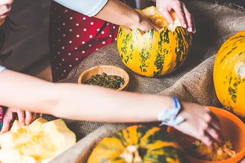 南瓜,冬南瓜,西瓜,毛茛南瓜,石莱西瓜,万圣节